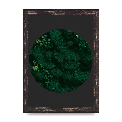 Black Back Green Plant Disc Series One Art For The Home - A4 framed
