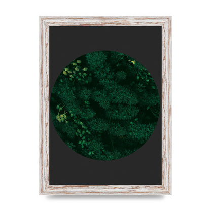 Black Back Green Plant Disc Series One Art For The Home - A4 framed