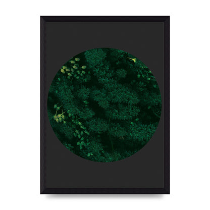 Black Back Green Plant Disc Series One Art For The Home - A4 framed