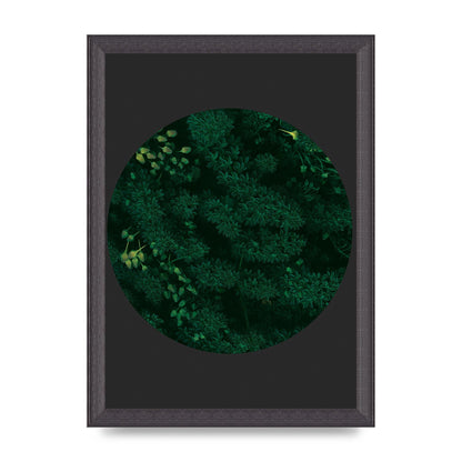 Black Back Green Plant Disc Series One Art For The Home - A4 framed