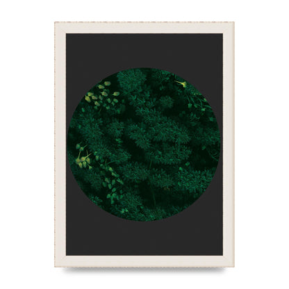 Black Back Green Plant Disc Series One Art For The Home - A4 framed