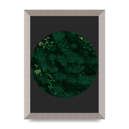Black Back Green Plant Disc Series One Art For The Home - A4 framed
