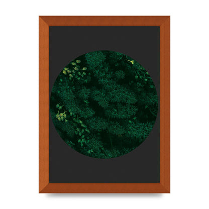Black Back Green Plant Disc Series One Art For The Home - A4 framed