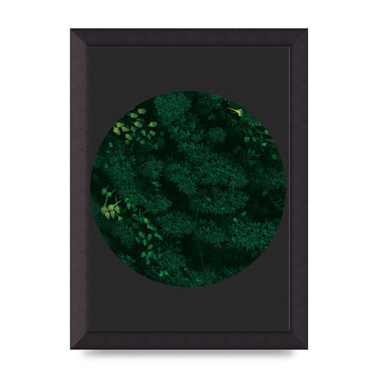Black Back Green Plant Disc Series One Art For The Home - A4 framed