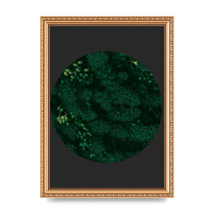 Black Back Green Plant Disc Series One Art For The Home - A4 framed