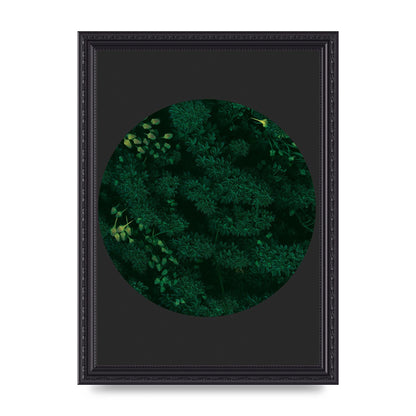 Black Back Green Plant Disc Series One Art For The Home - A4 framed