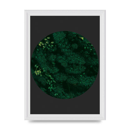 Black Back Green Plant Disc Series One Art For The Home - A4 framed