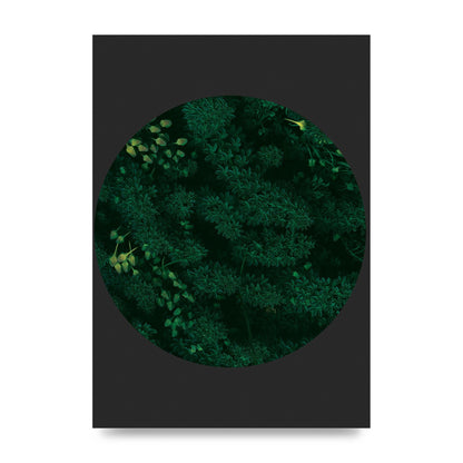 Black Back Green Plant Disc Series One Art For The Home - unframed print