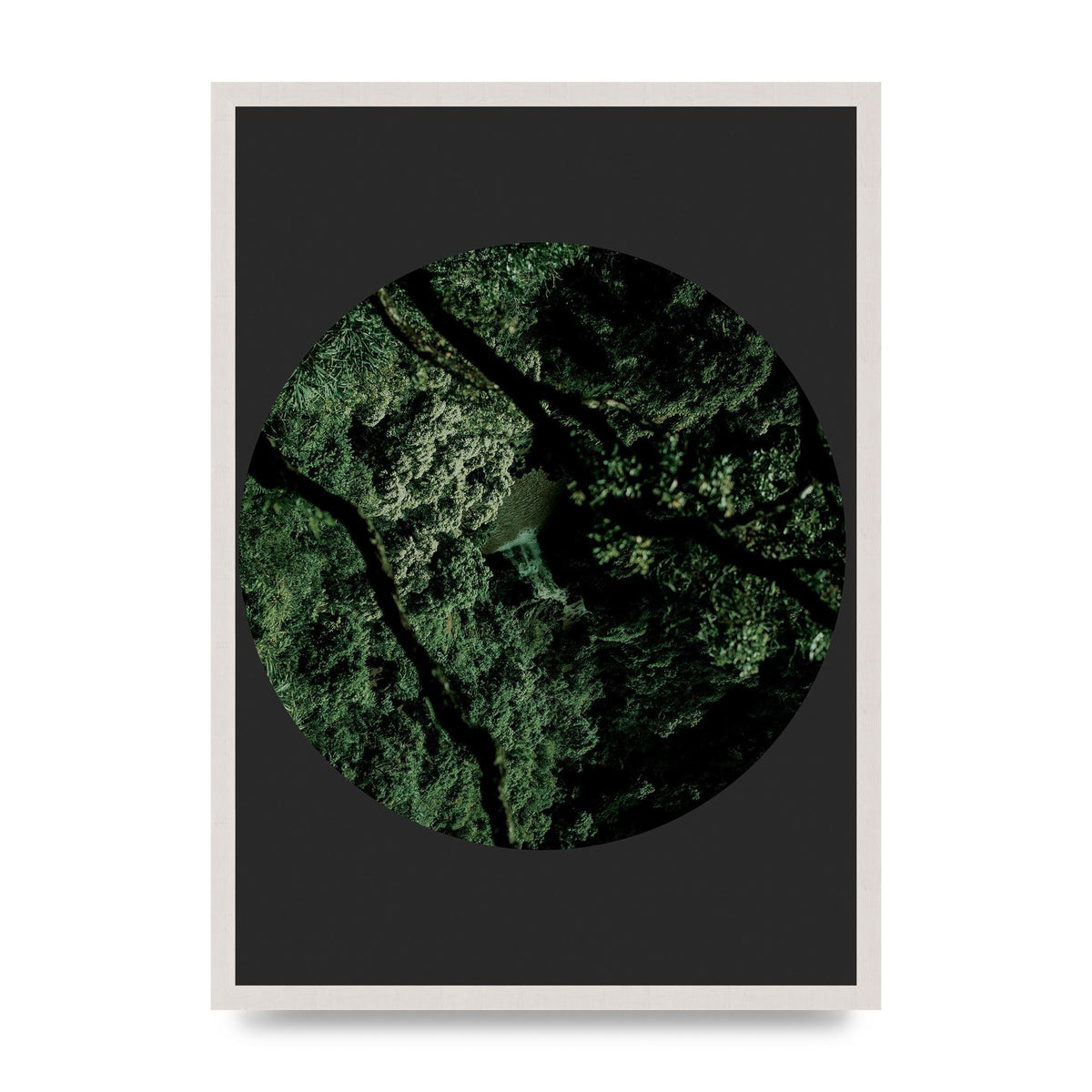 Black Back Green Plant Disc Series Two Printed Poster - A2 framed