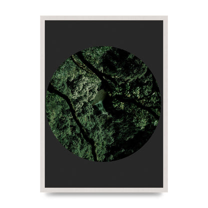 Black Back Green Plant Disc Series Two Printed Poster - A2 framed