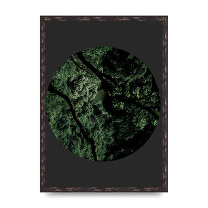 Black Back Green Plant Disc Series Two Printed Poster - A2 framed