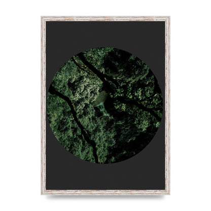 Black Back Green Plant Disc Series Two Printed Poster - A2 framed