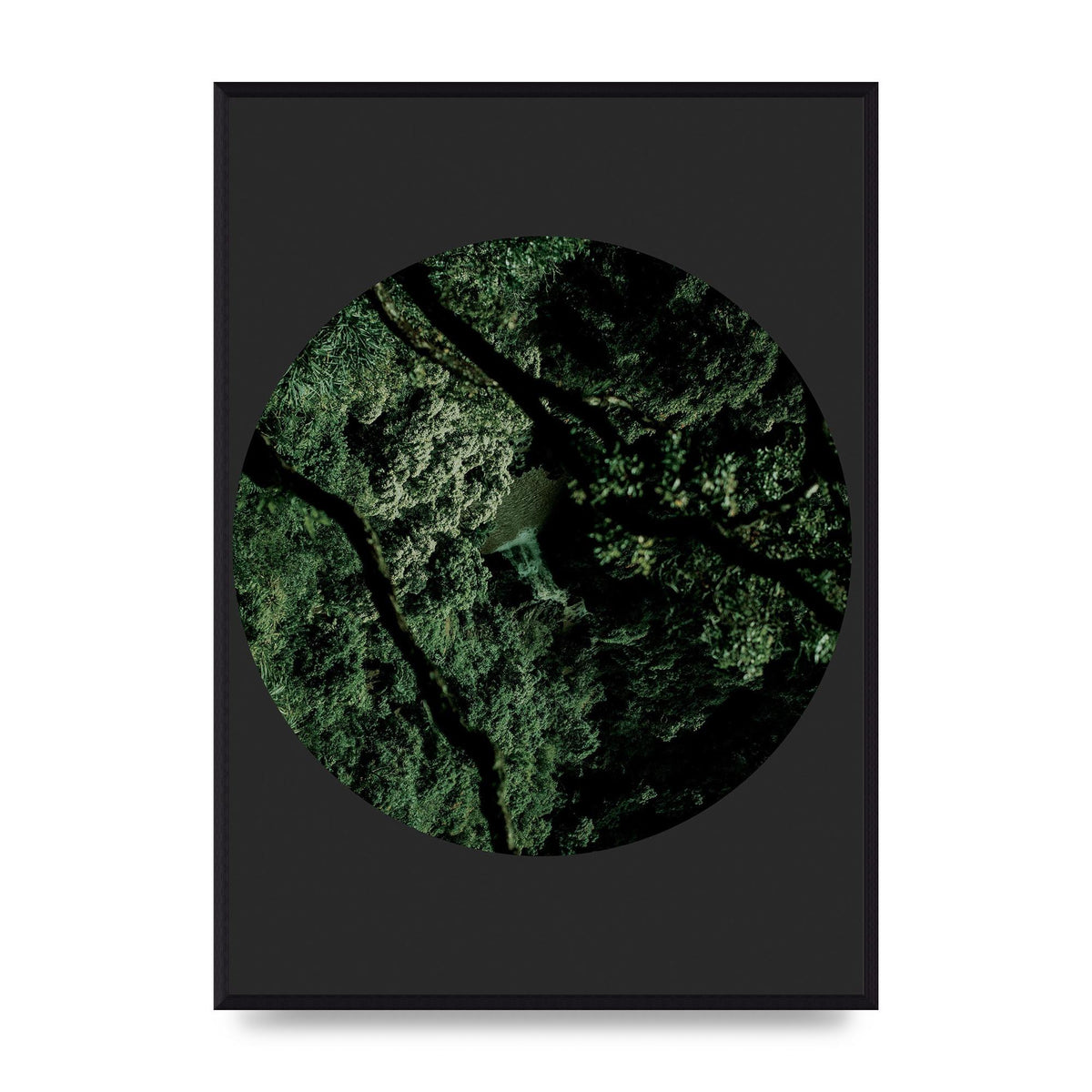 Black Back Green Plant Disc Series Two Printed Poster - A2 framed