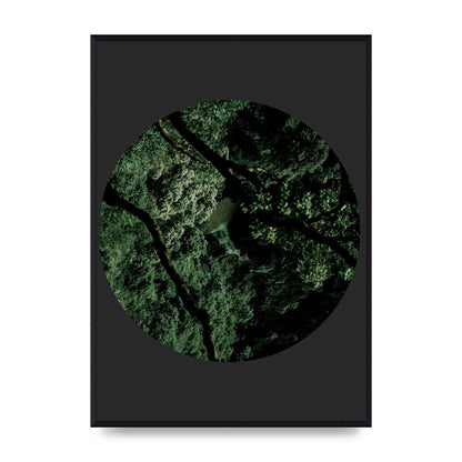 Black Back Green Plant Disc Series Two Printed Poster - A2 framed
