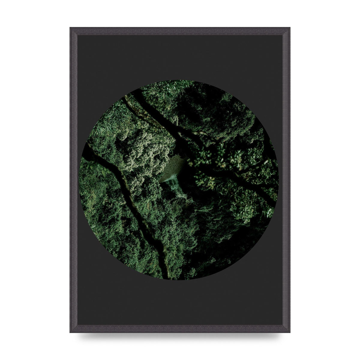 Black Back Green Plant Disc Series Two Printed Poster - A2 framed