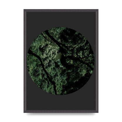 Black Back Green Plant Disc Series Two Printed Poster - A2 framed