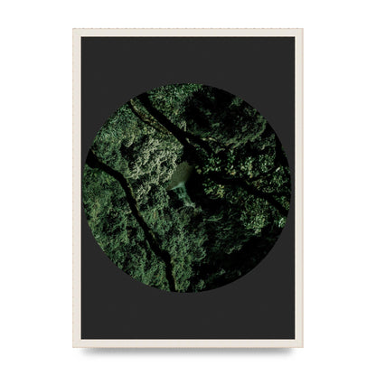 Black Back Green Plant Disc Series Two Printed Poster - A2 framed