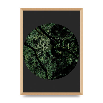 Black Back Green Plant Disc Series Two Printed Poster - A2 framed