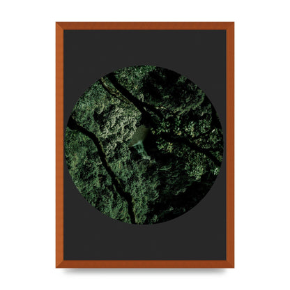 Black Back Green Plant Disc Series Two Printed Poster - A2 framed