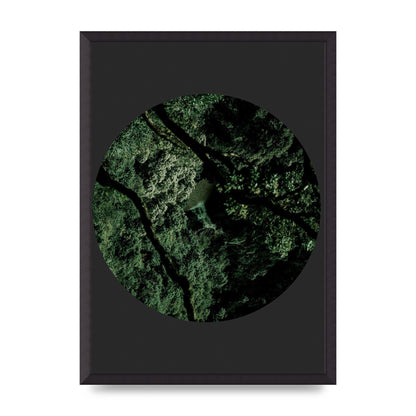 Black Back Green Plant Disc Series Two Printed Poster - A2 framed