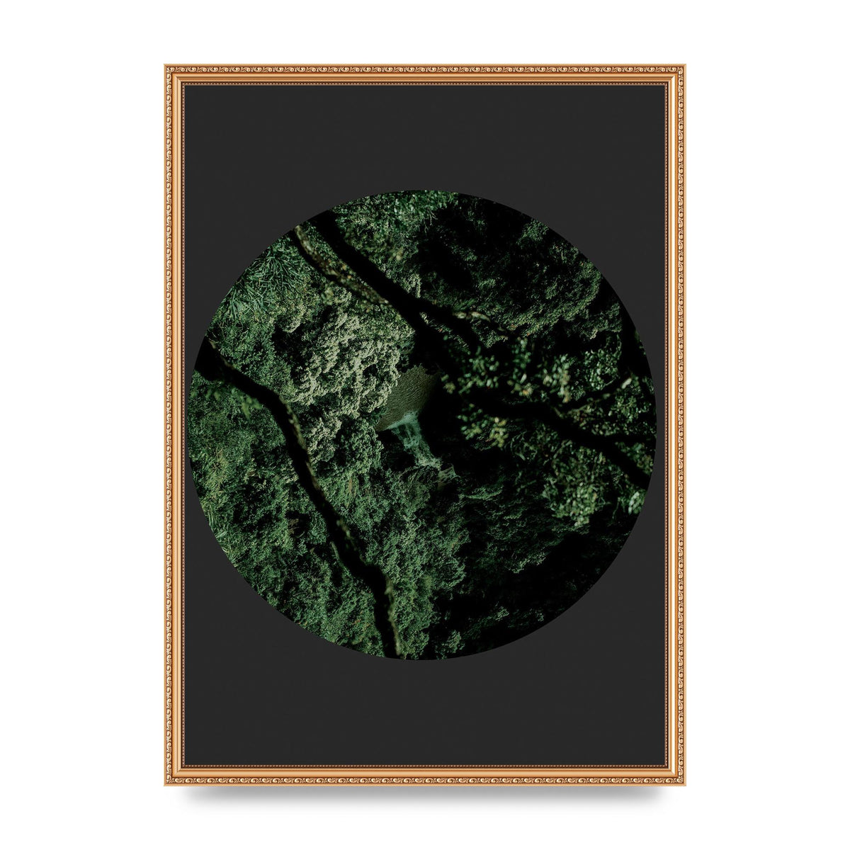 Black Back Green Plant Disc Series Two Printed Poster - A2 framed