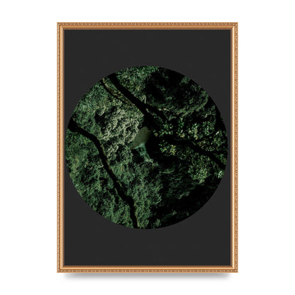 Black Back Green Plant Disc Series Two Printed Poster - A2 framed