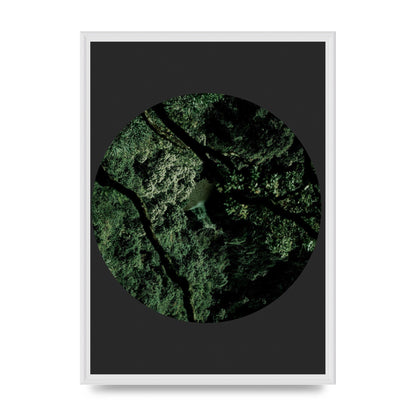 Black Back Green Plant Disc Series Two Printed Poster - A2 framed