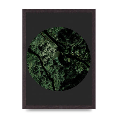 Black Back Green Plant Disc Series Two Printed Poster - A3 framed
