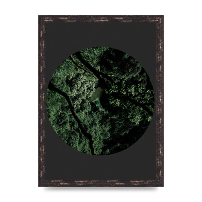 Black Back Green Plant Disc Series Two Printed Poster - A3 framed