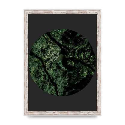 Black Back Green Plant Disc Series Two Printed Poster - A3 framed