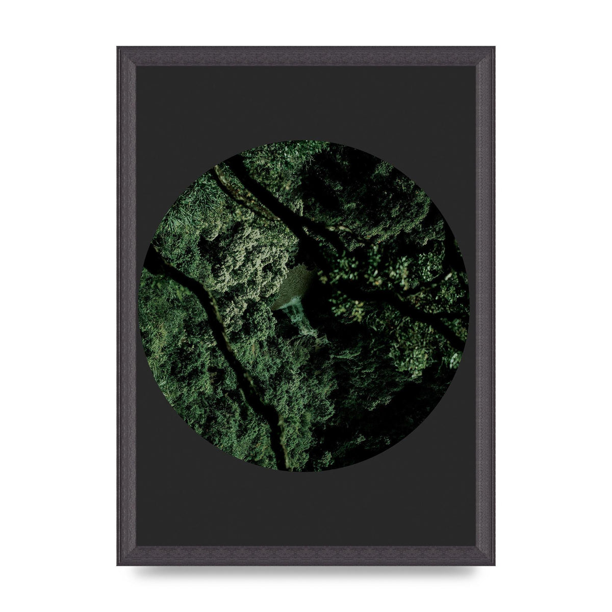 Black Back Green Plant Disc Series Two Printed Poster - A3 framed