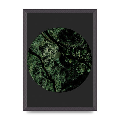 Black Back Green Plant Disc Series Two Printed Poster - A3 framed