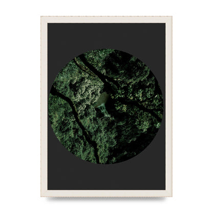 Black Back Green Plant Disc Series Two Printed Poster - A3 framed