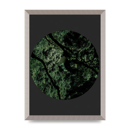 Black Back Green Plant Disc Series Two Printed Poster - A3 framed