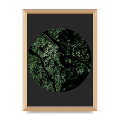 Black Back Green Plant Disc Series Two Printed Poster - A3 framed