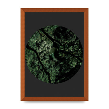 Black Back Green Plant Disc Series Two Printed Poster - A3 framed