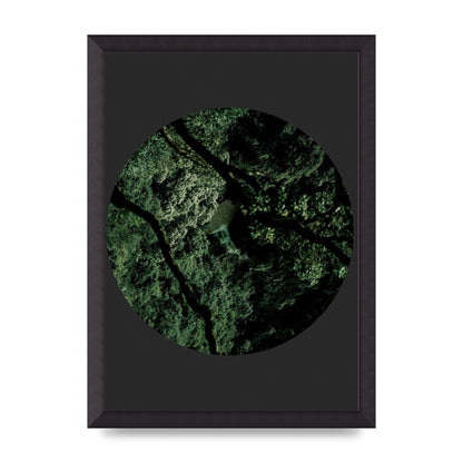 Black Back Green Plant Disc Series Two Printed Poster - A3 framed