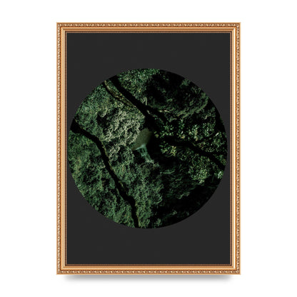 Black Back Green Plant Disc Series Two Printed Poster - A3 framed