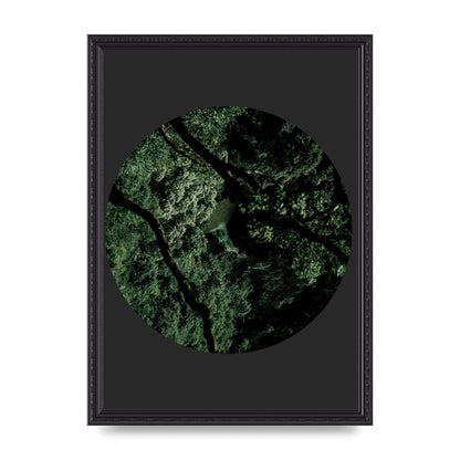 Black Back Green Plant Disc Series Two Printed Poster - A3 framed