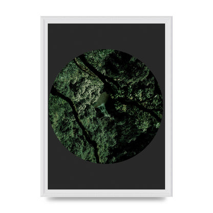 Black Back Green Plant Disc Series Two Printed Poster - A3 framed