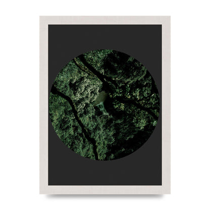 Black Back Green Plant Disc Series Two Printed Poster - A4 framed