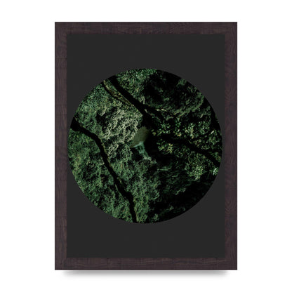 Black Back Green Plant Disc Series Two Printed Poster - A4 framed