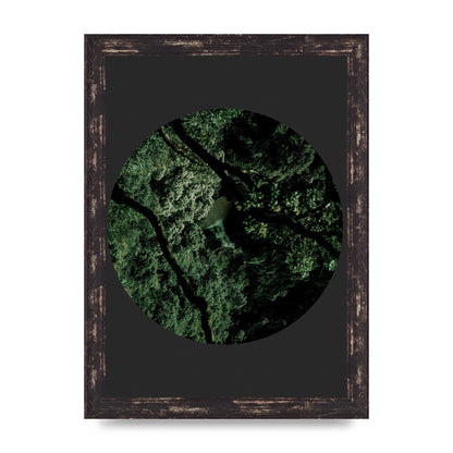 Black Back Green Plant Disc Series Two Printed Poster - A4 framed