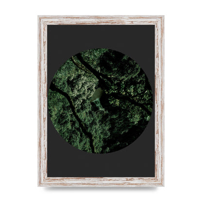 Black Back Green Plant Disc Series Two Printed Poster - A4 framed