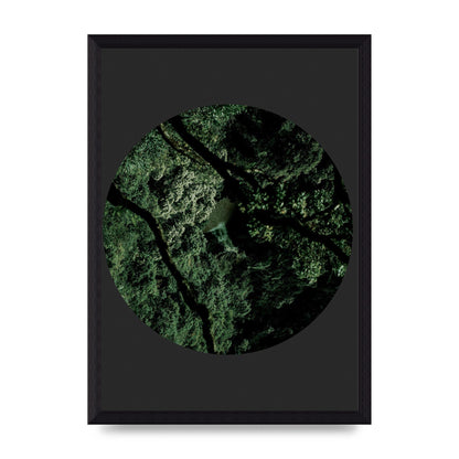 Black Back Green Plant Disc Series Two Printed Poster - A4 framed