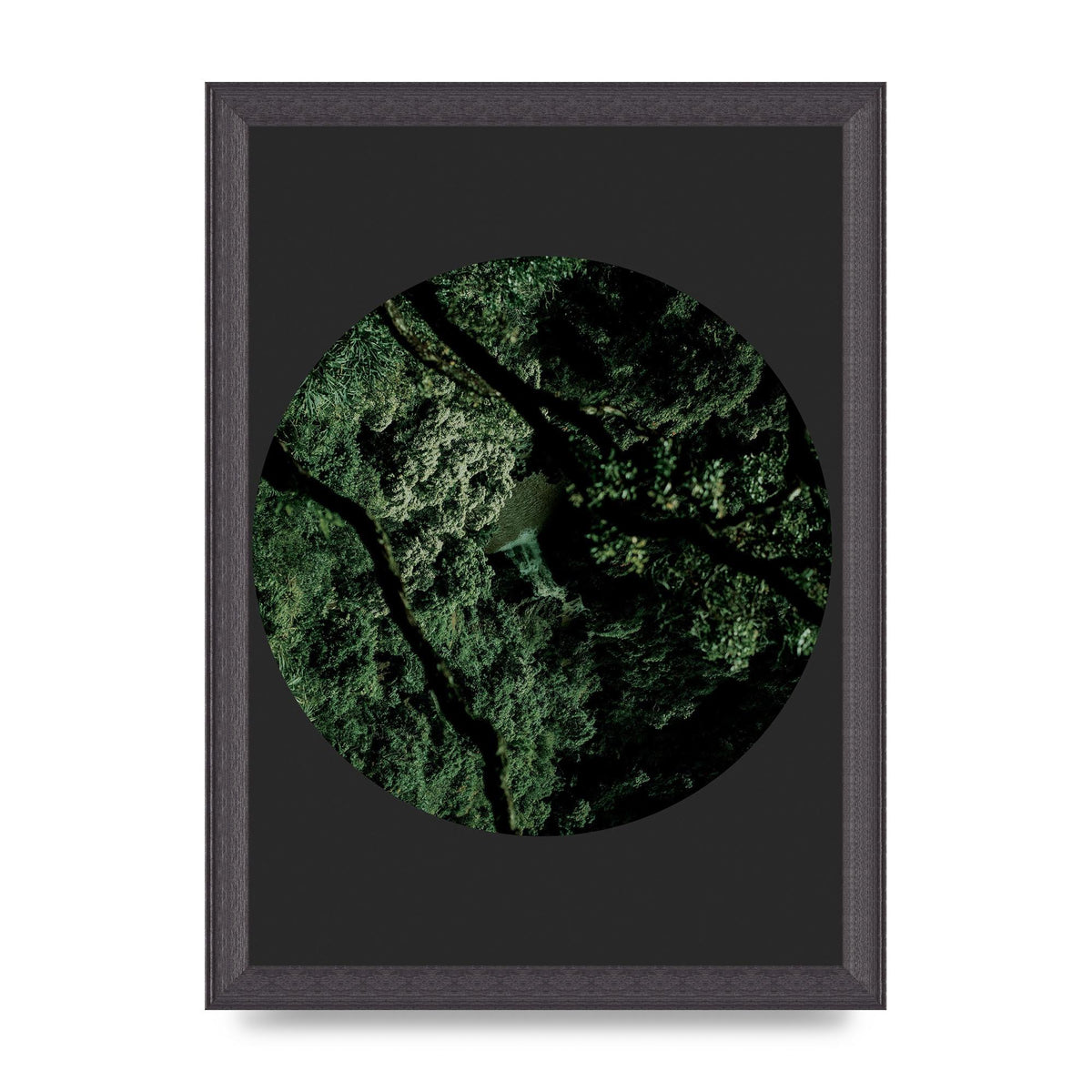 Black Back Green Plant Disc Series Two Printed Poster - A4 framed