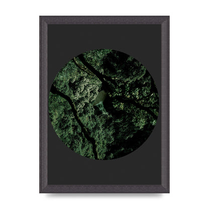 Black Back Green Plant Disc Series Two Printed Poster - A4 framed