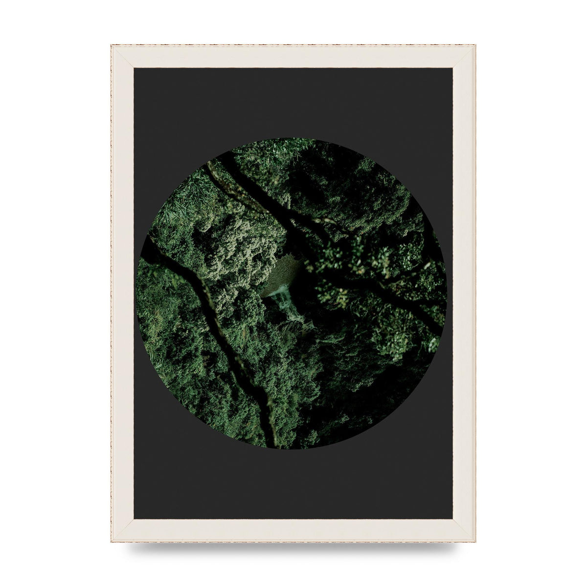 Black Back Green Plant Disc Series Two Printed Poster - A4 framed