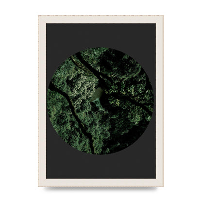 Black Back Green Plant Disc Series Two Printed Poster - A4 framed