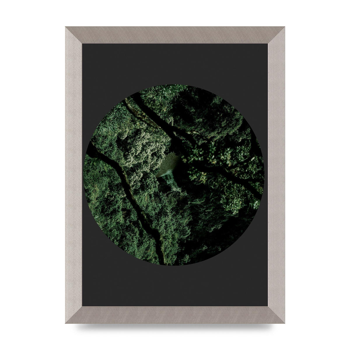 Black Back Green Plant Disc Series Two Printed Poster - A4 framed